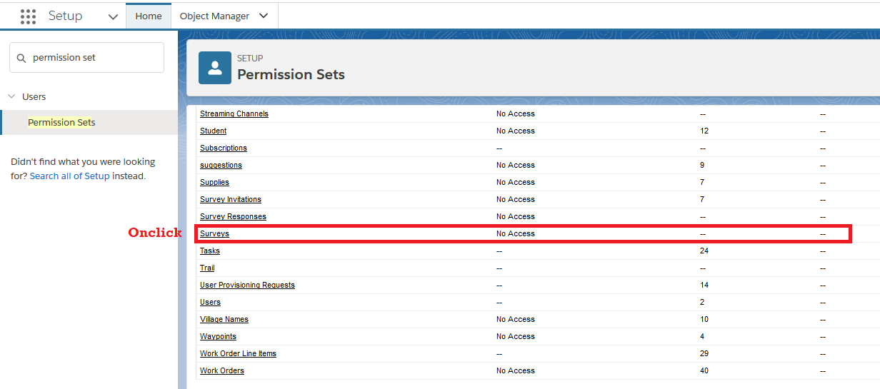 Survey in Salesforce